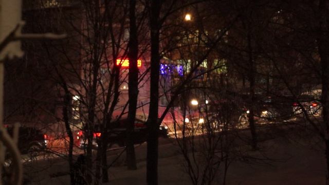 Снегопад 12 января 2026