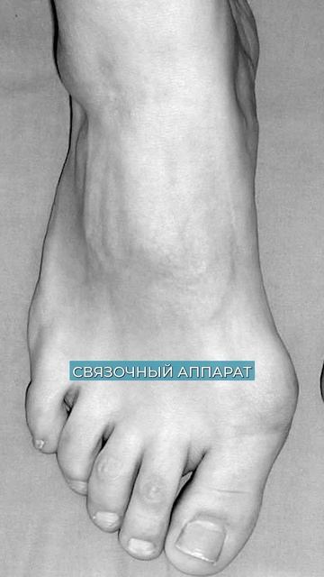 ЭТИ точки в стопе РАЗРУШАЮТ ваши суставы! #здоровье #стопа #суставы смотреть онлайн