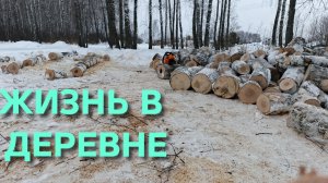 Жизнь в деревне Допиливаю последние дрова и снова маралы пришли в гости