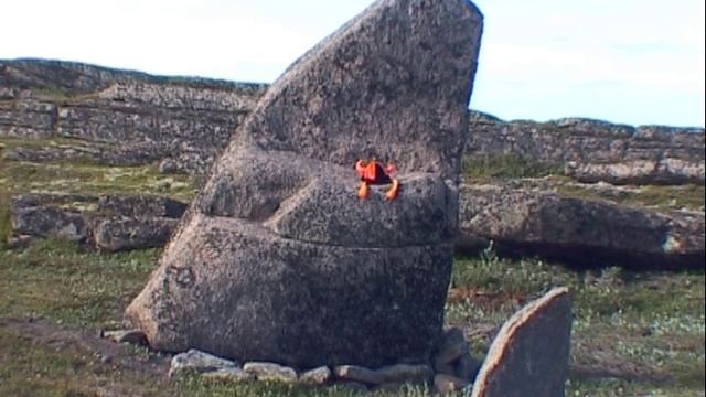 ©  " Тронный. Девицы с рогатой шапочкой" 2006