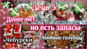 Денег нет, но есть запасы//день 6