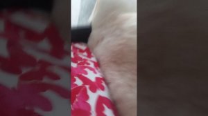 Зайди и досмотри до конца пожалуйста!