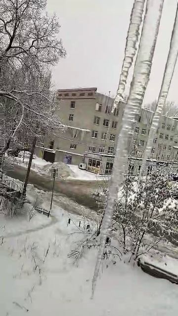 Огромные сосульки в Саратове, январь 2026 год