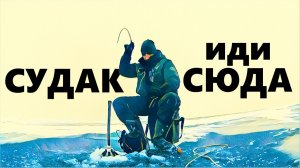 Судачья свадьба) Рыбалка на море