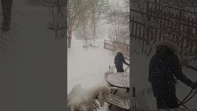 Новогодние праздники