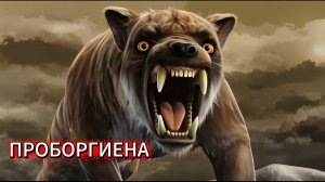 Проборгиена. Монстр Южной Америки эпохи олигоцена