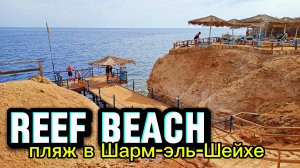 ЕГИПЕТ / Шарм-эль-Шейх / пляж РИФ БИЧ