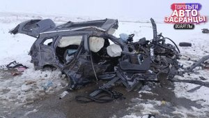 Дорожные приключения Январьнутых Торопыг и Водятлов! ДТП