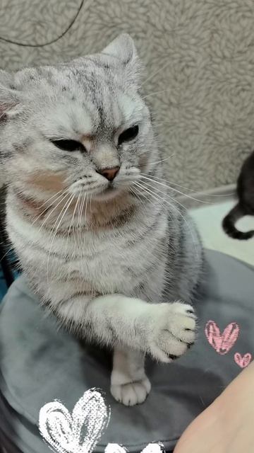 решила сменить работу