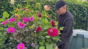 ПРЕКРАСНЫЙ КОТТЕДЖНЫЙ САД В ДАНИИ СЕРЕДИНА ЛЕТА Потрясающие цветущие многолетники