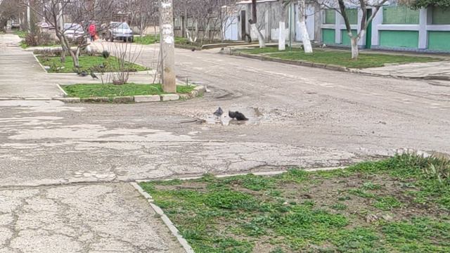 Один из дней города Евпатории | 3 февраля 2021 г | Крым | ХАН БАТОН XAH 6ATOH / VID_20210203_133512 смотреть онлайн