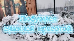Любуемся снежной красотой в Краснодаре
