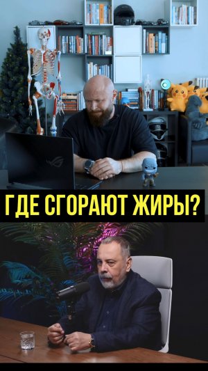 Где Сгорает ЖИР, когда вы ХУДЕЕТЕ? 🫁 #фитнес #здоровье #факты