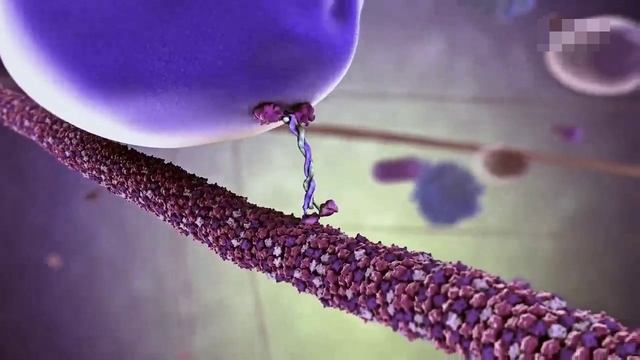 ЛЕВИТАЦИЯ ВО ИМЯ НАУКИ - 7 законных способов победить гравитацию смотреть онлайн