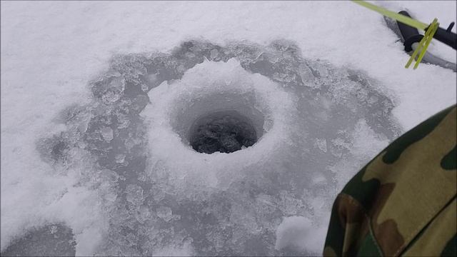 Рыбалка - прогулка на реке Дон, Хохол. район, между Новогремячьем и Устьем, Воронеж.обл. 11.01.2025 смотреть онлайн