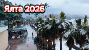 Жизнь на море: Старый Новый год на фоне моря / Ялтинская набережная. Собаки Погода .Крым 2026