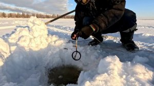 Проверка удочек. 38 день.