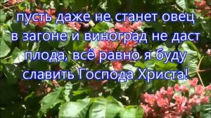 Так уж бывает летней порою