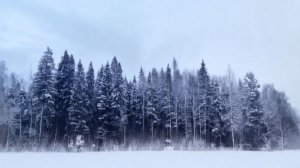 Live🔴: Russian rock. Atmospheric Black Metal.