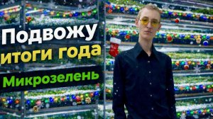 На что заработал на микрозелени за год?