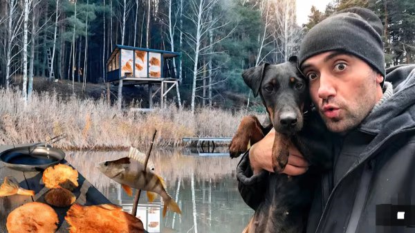 Дом на дереве! Поставил сеть Нашёл редкие грибы рыжики с Мартой и Беном