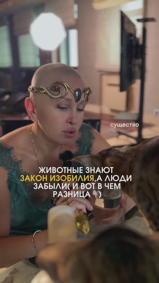 Доступно Каждому! Закон Изобилия, Про Который Миллионы Людей Просто Забыли в Описании смотреть онлайн