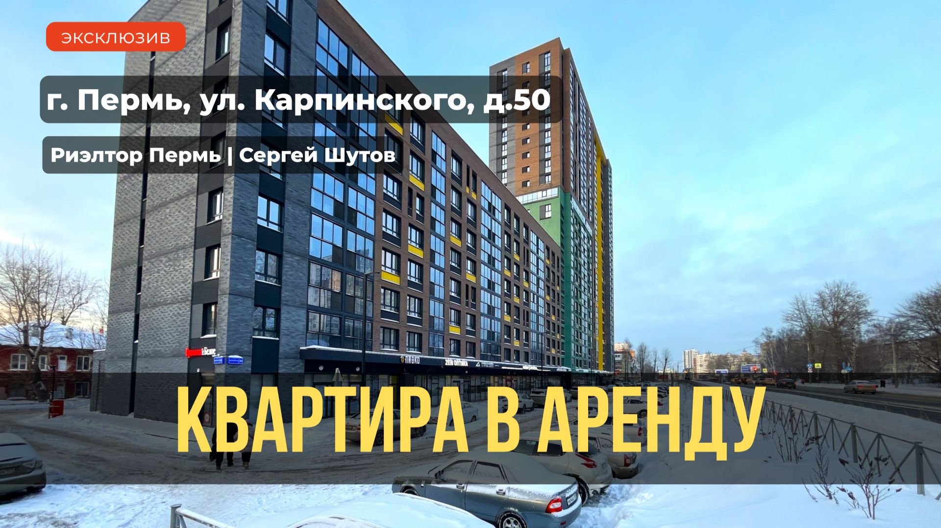 Обзор квартиры в аренду Карпинского, 50