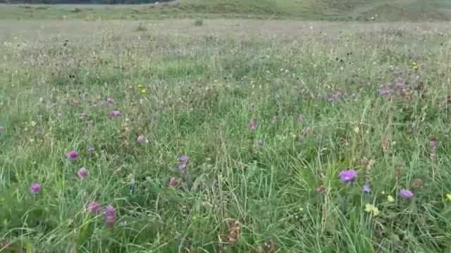 Путешествие Кавказ