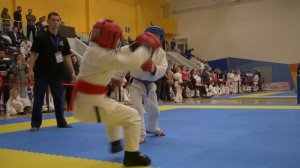 Дайджест - Кристина Кузьминская