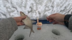 Зимняя рыбалка на поплавок в буран. Рыбалка 2026 #зима2026 #рыбалка #fishing #зимняярыбалка #рыба