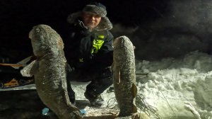 ТРОФЕЙНАЯ РЫБАЛКА | ПРИХОДИЛ ПУШИСТЫЙ ДРУГ | ПЕРЕМЕТ НА НАЛИМА | ПРОВЕРКА 12.01.2026