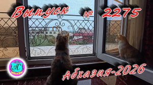 #Абхазия2026🌴 13.01.26г.🔥 Выпуск № 2275❗вчера +14°🌡ночью +6°🌡море +11,7°🐬