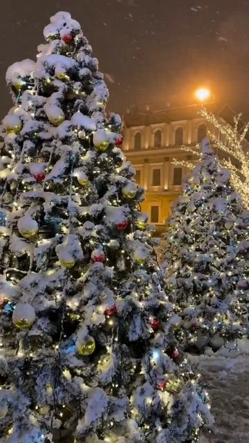Новогодний Санкт-Петербург