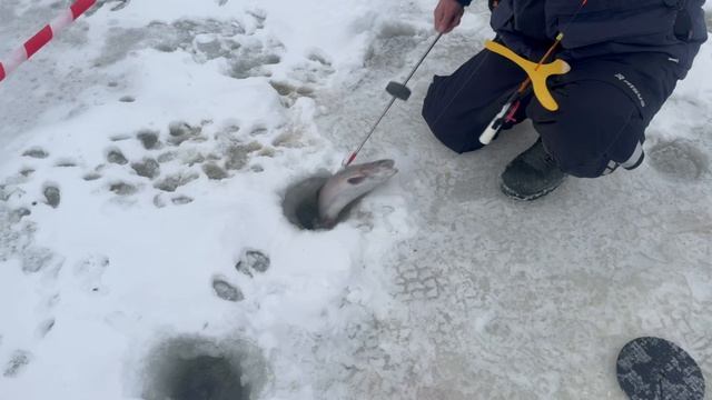 1000138506.mp4 смотреть онлайн