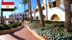 #16 Краткий обзор отеля Domina Coral Bay Resort 5*. Обед. Египет. Шарм-Эш-Шейх. Декабрь 2025