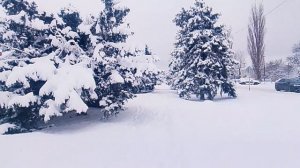 Брюховецкий район —_2026-01-12