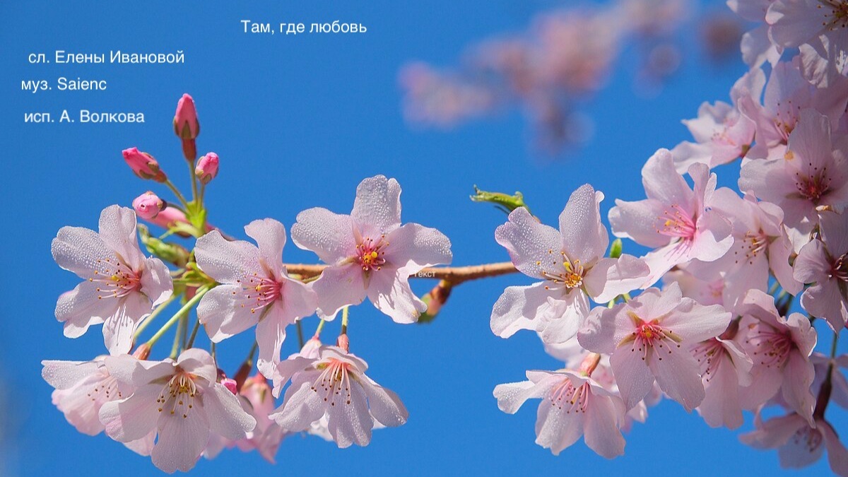 Там, где любовь