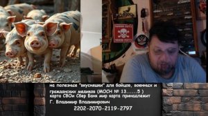 попытка  толерантно с чубатым пятачком