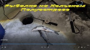 Рыбачу на озере Имандре. Ловлю сига.