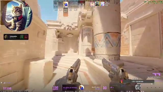 Faceit WW смотреть онлайн