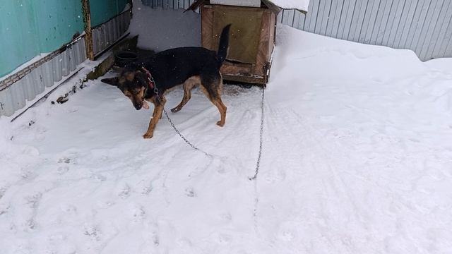 Малыш пришел в гости смотреть онлайн