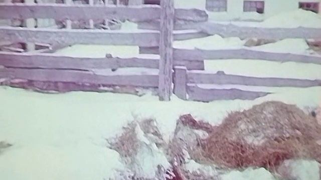 1988 год. Тюменская область. Бесхозяйственность смотреть онлайн