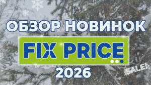 Обзор новинок в магазине Fix Price