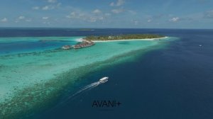 Avani+ Fares Maldives