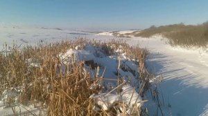 Охота на матёрого,хитрого зайца