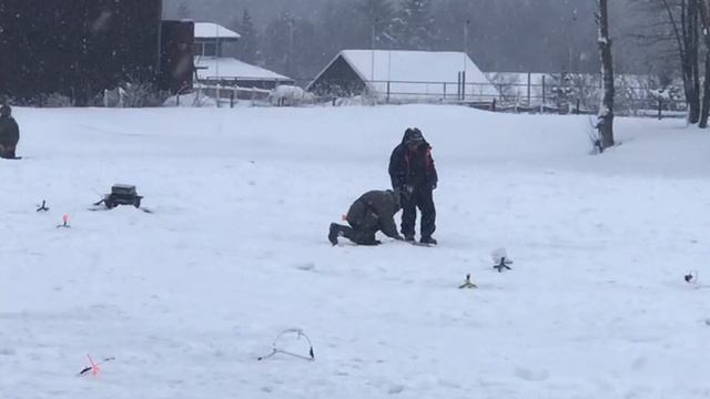 поимка форели на жерлицу смотреть онлайн