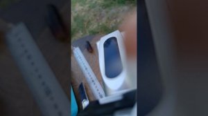 дегустация . София , Дубовский розовый , Аватар.