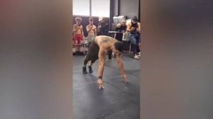 LIKE A BOSS COMPILATION #126 😎😎😎 AWESOME VIDEOS