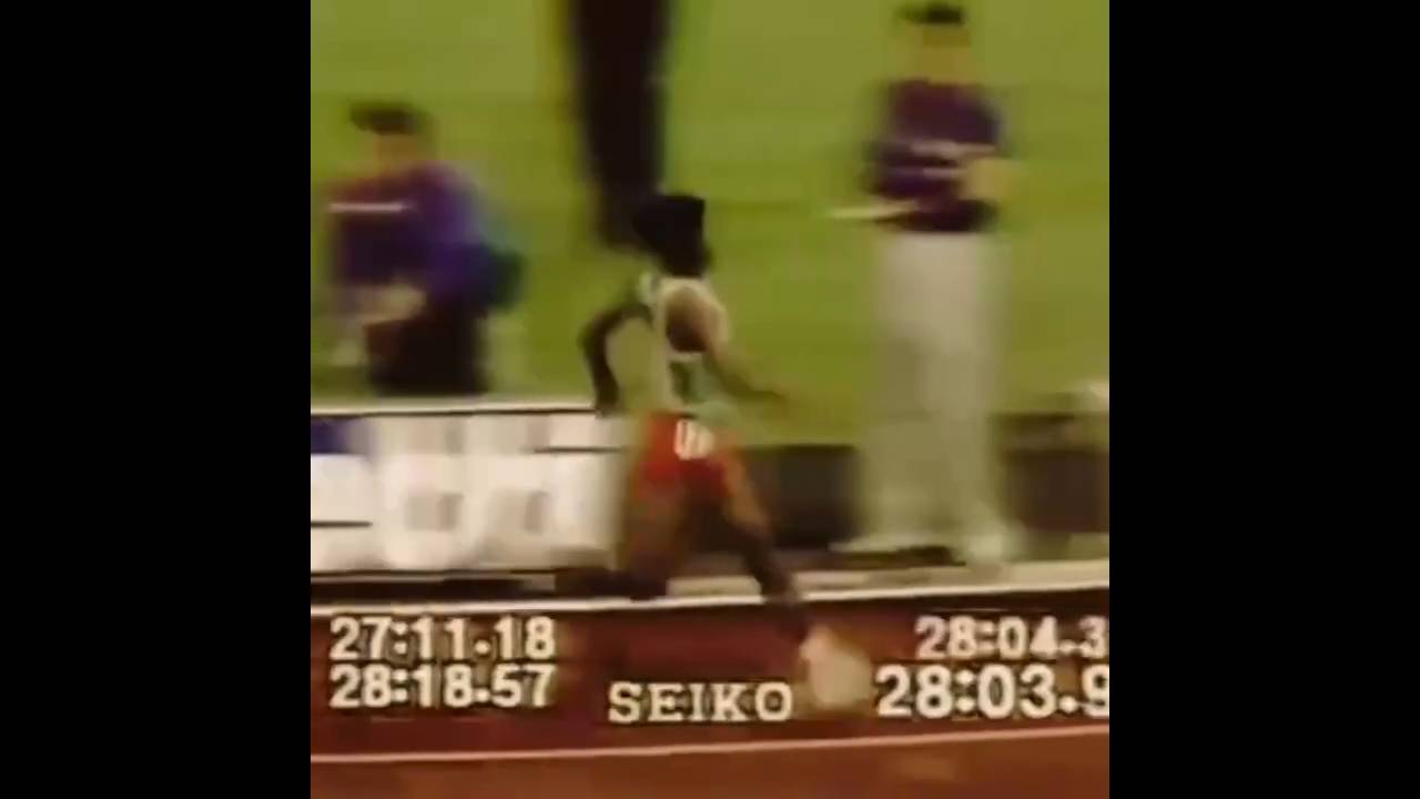 #смешныевидео -662 смотреть онлайн