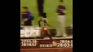 #смешныевидео -662